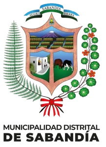 muni sabandia copia